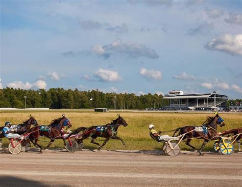 Live Harness Racing at Bluegrass Downs | Americans for the Arts