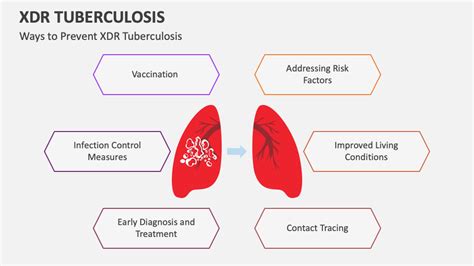 XDR Tuberculosis PowerPoint and Google Slides Template - PPT Slides