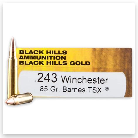 Best 243 Ammo Review 2024 | TOP 8 🎯 243 Ammo [Buyer's Guide]