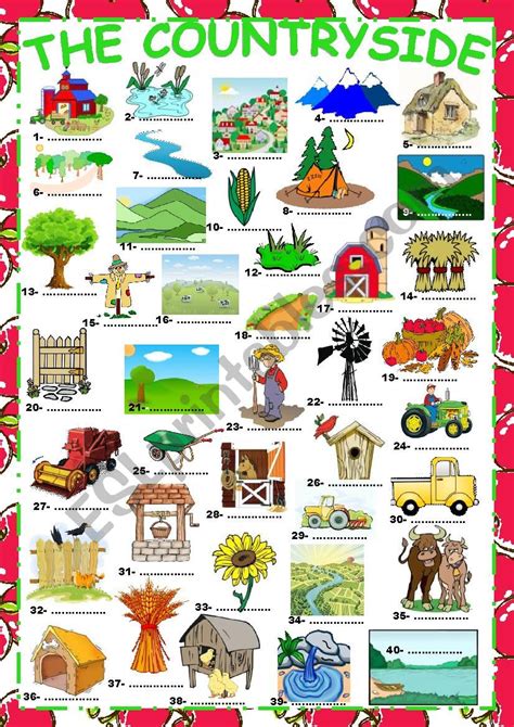 The Countryside (Vocabulary) + KEY - ESL worksheet by karagozian