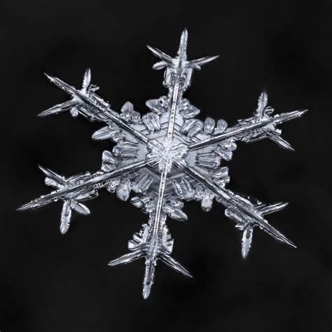 Photos: Incredible snowflake close-ups