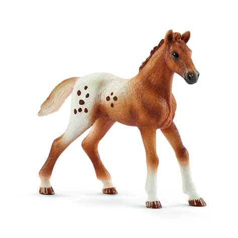 Schleich Horses: Schleich Set of tournament training and horses ...