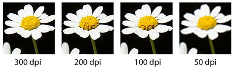 How Does DPI Affect Print Quality? | Cmsmart Community