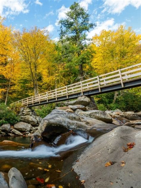 5 Best Smoky Mountain Hiking Trails | Smoky Mountain Wanderings