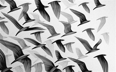 Download wallpaper for 720x1280 resolution | Birds BW Abstract HD | art and paintings ...