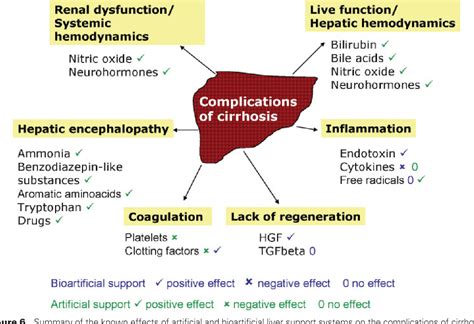 Complications Of Cirrhosis Ascites Hepatic Encephalopathy And | The Best Porn Website