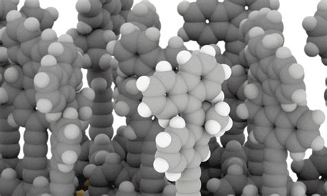 Scientists created an organized array of light-driven molecular motors