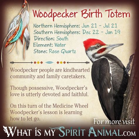 Woodpecker Totem | Native American Zodiac Signs & Birth Signs