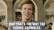 Cookie Crumbles Hopeless GIF - Cookie Crumbles Hopeless Bruce Almighty - Discover & Share GIFs