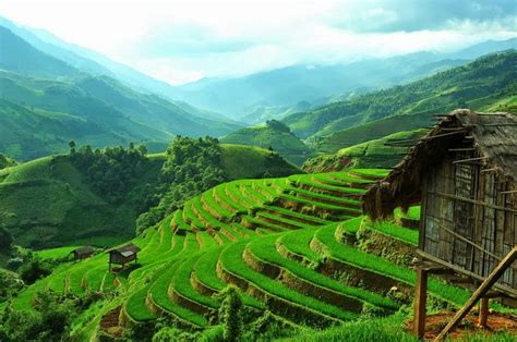 Beautiful Terraced Fields in Vietnam | Vietnam Information - Discover ...