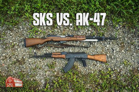 SKS vs. AK-47 - Rifle Rundown - The Broad Side