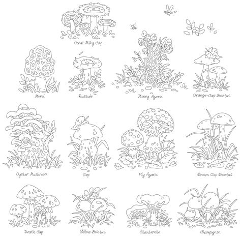 Premium Vector | Cartoon set of forest mushrooms edible and inedible including the most ...