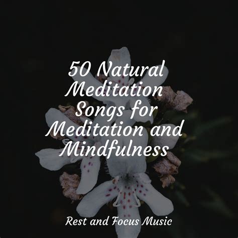 50 Natural Meditation Songs for Meditation and Mindfulness - Album by Kinderlieder-Superstar ...