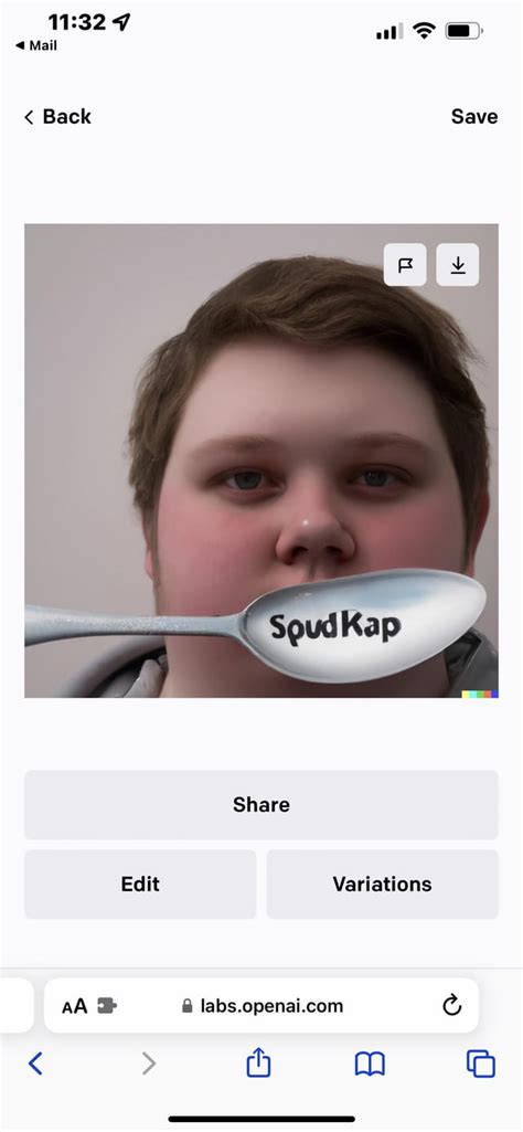 I asked Dall-E for a realistic photo of the spoonkid face reveal : r ...