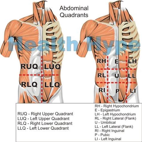 Abdomen Burning Pain Causes and Symptoms | Healthhype.com