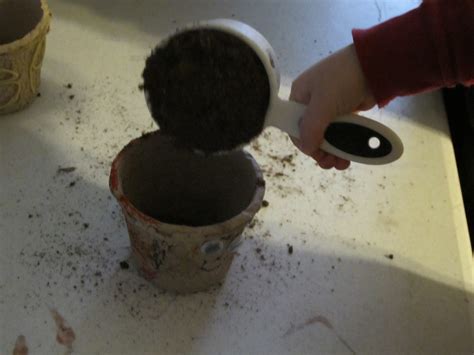 Celebrate Earth Day and Start your Garden Indoors with DIY Seed Pots