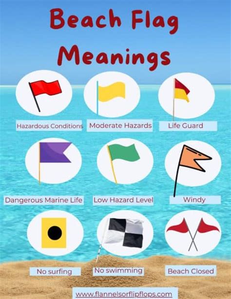 Beach Flags Meaning: How To Stay Safe At The Beach (2024)