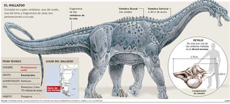 What's World's Largest Reptile?