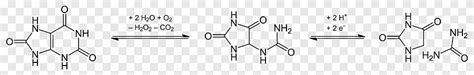 Hydantoin Condensation reaction Heterocyclic compound Lactam, Allantoin, angle, white png | PNGEgg