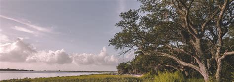 History of Fort Johnson | American Battlefield Trust