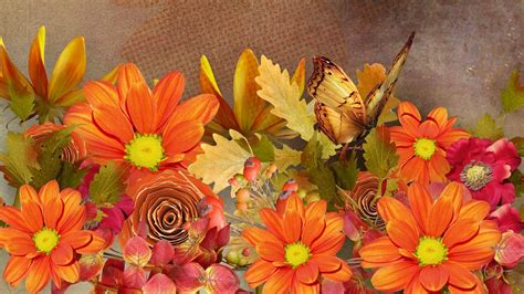 Download Colors Butterfly Flower Artistic Fall HD Wallpaper by MaDonna
