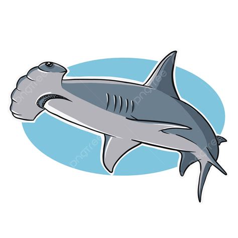 Hammerhead Logos Shark Logo Colgan High School Sharks - vrogue.co