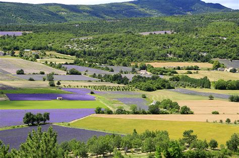 La route de la lavande en Provence - Détours en France