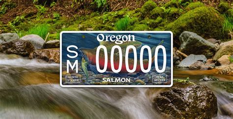 New License Plate Supports Oregon Salmon Habitat - My Oregon News