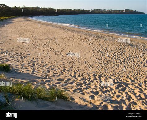 Beach Bridport Tasmania Australia Stock Photo - Alamy