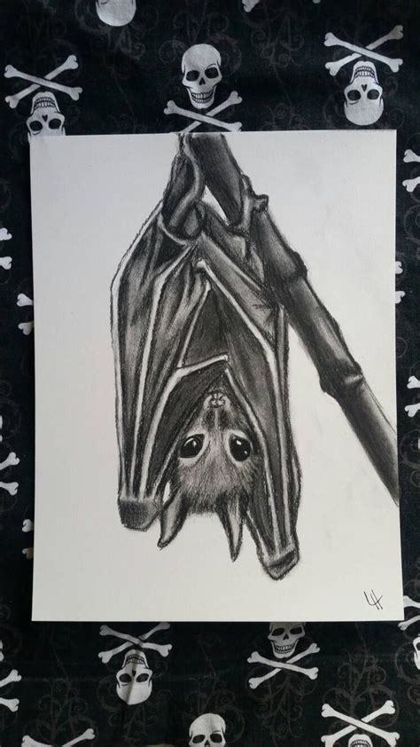 Hanging Bat Drawing at PaintingValley.com | Explore collection of ...