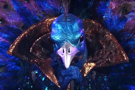 Who Is The Peacock On The Masked Singer? We Think We've Figured It Out