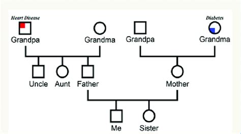 Genogram Example With Multiple Fathers - dmainname