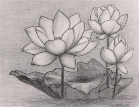 Lotus Flower by xskiesrbluex on DeviantArt