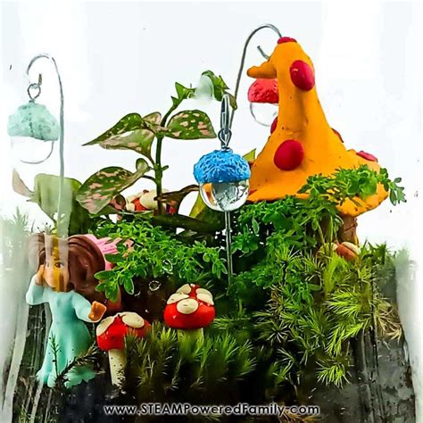 Magical Fairy Garden Terrarium Project