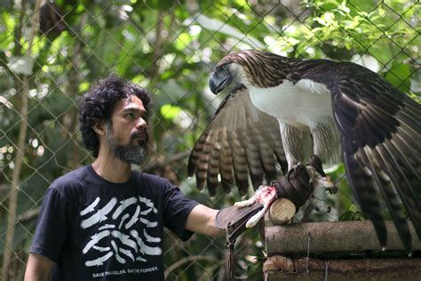 Philippine Eagle Wingspan