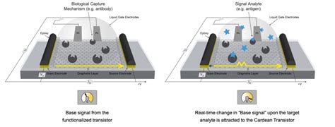 Cardea Bio Inc. Receives Fundamental Patent on “Graphene Transistor and ...