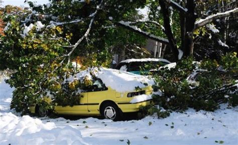 Tips on How You Can Fix Winter Storm Damage to Your Home - Water Damage ...