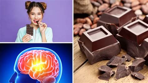 8 Health Benefits Of Eating Dark Chocolate | TallyPress