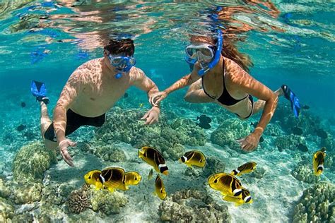 Mnemba Snorkeling Trip Zanzibar | Zanziworld Tours