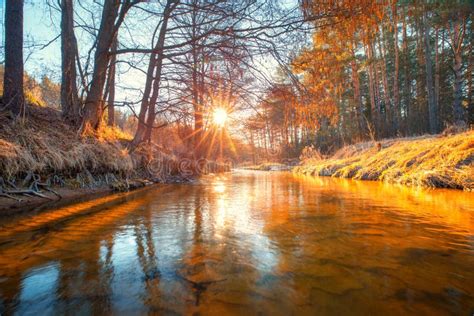 Fall. Autumn Dawn. Clear River in Forest Stock Image - Image of ...