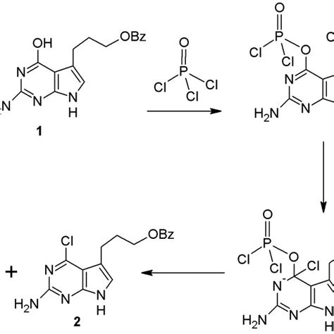 Mechanism for the monochlorination reaction. | Download Scientific Diagram