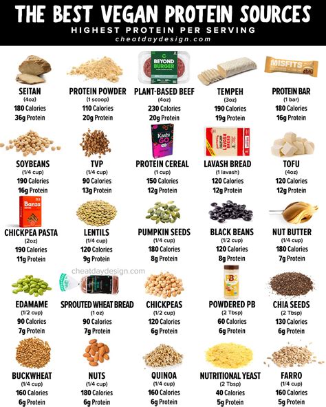 Vegan Protein Sources