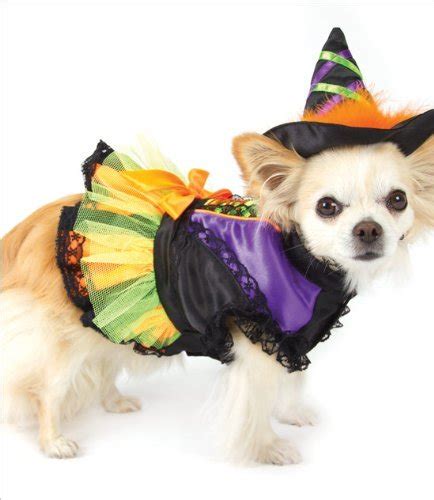 Halloween Witch Dog Costume - Size 6 (16" l x 20.5" - 23.25" g)