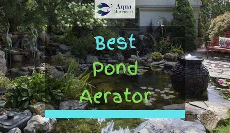 9 Best Pond Aerator & Pumps - 2021 Reviews | Aqua Movement