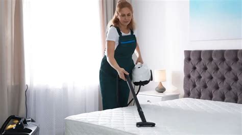 Best Steam Cleaner For Bed Bugs [Our Top 7 Picks In 2024] - Steam Clean Queen