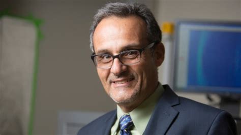 Emmanuel Giannelis named vice provost for research | Cornell Chronicle