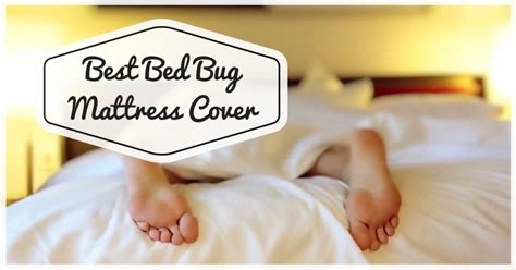 Best Bed Bug Mattress Encasement Cover - Pest Survival Guide