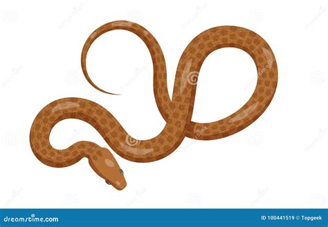 Slither Brown Python Snake Top View Vector Icon Stock Vector ...