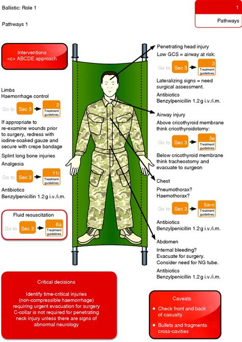 Ballistic trauma pathway: Role 1. | Download Scientific Diagram