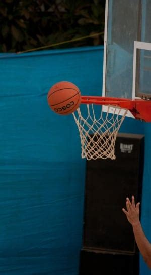 grey and blue basketball system near black metal fence' free image | Peakpx